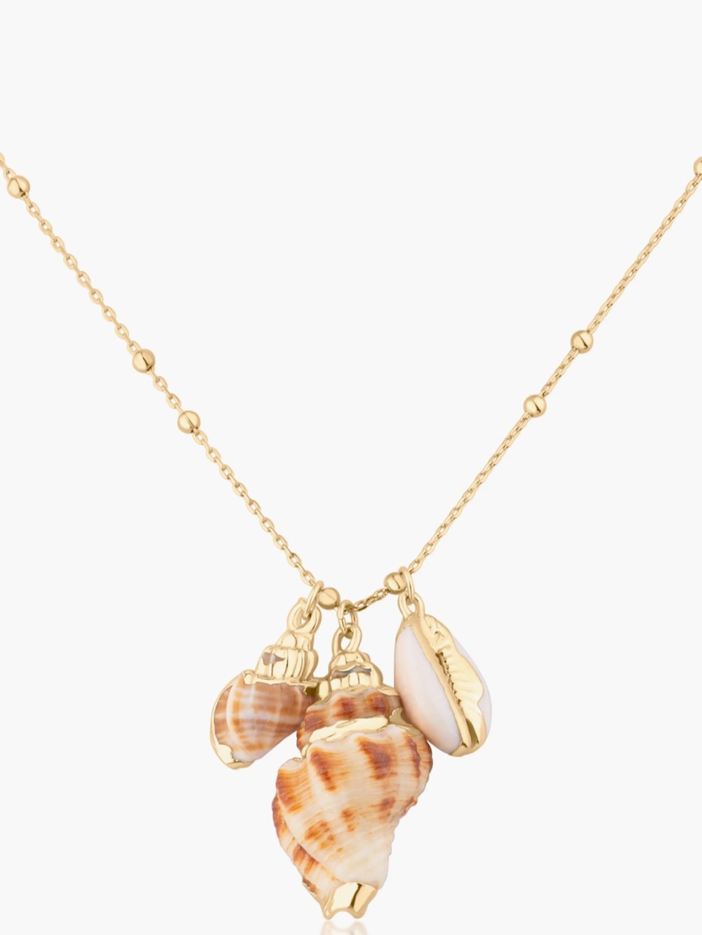 Jardin Sea Life Seashell Charm Necklace New